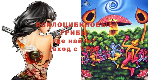 ГАЛЛЮЦИНОГЕННЫЕ ГРИБЫ Алексин