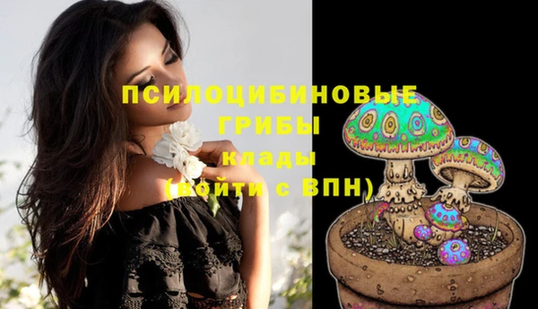 ГАЛЛЮЦИНОГЕННЫЕ ГРИБЫ Алексин