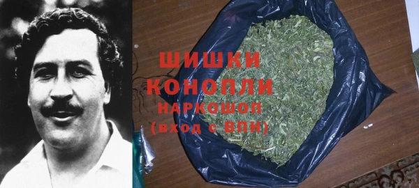 ешки Алзамай