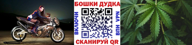 Бошки Шишки ГИДРОПОН Сортавала